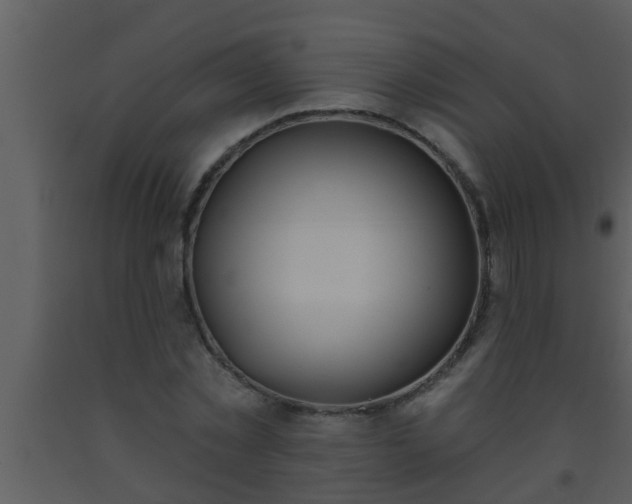 X0000093520781200710191331