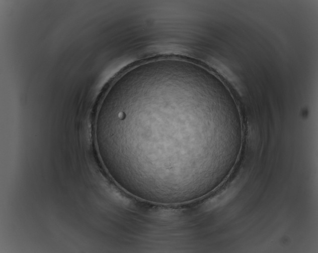 X0000093520782200710191331