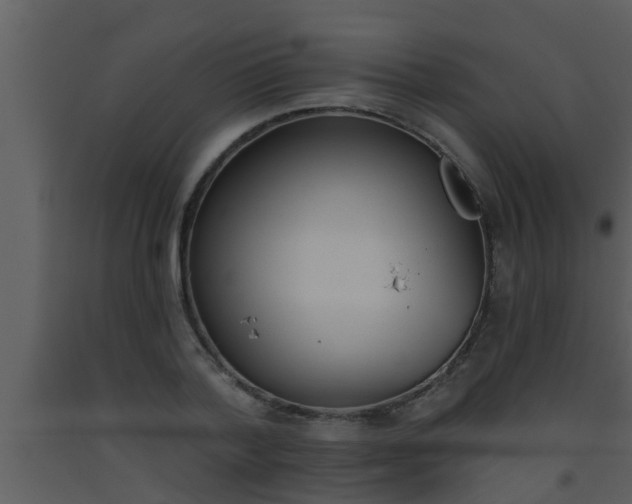 X0000093520788200710191331