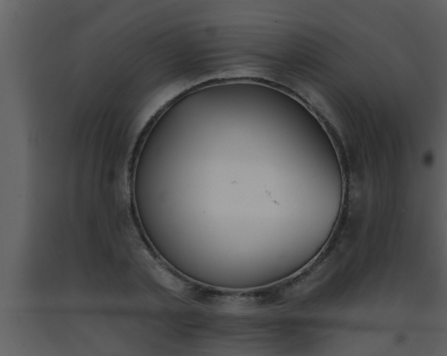 X0000093520789200710191331