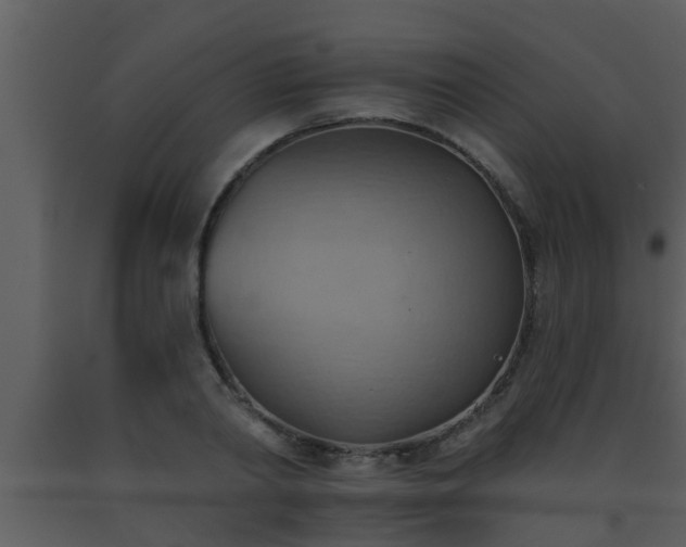 X0000093520790200710191331