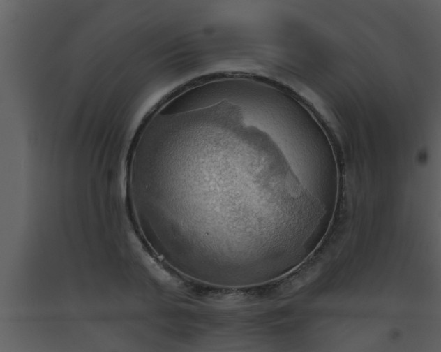 X0000093520791200710191331