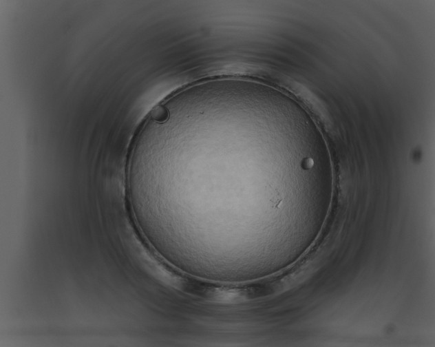 X0000093520794200710191331