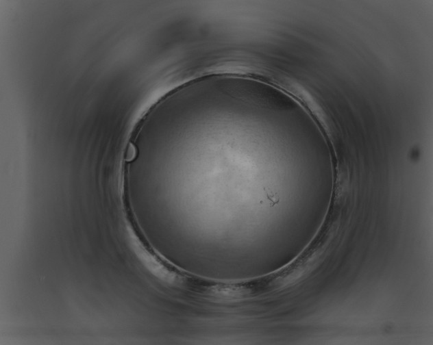 X0000093520795200710191331