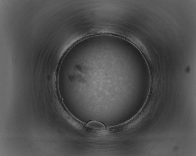 X0000093520798200710191331