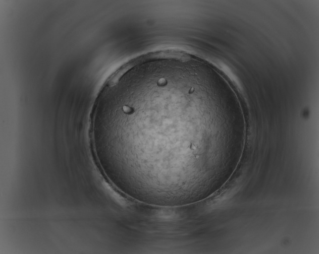 X0000093520799200710191331