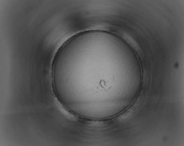 X0000093520800200710191331