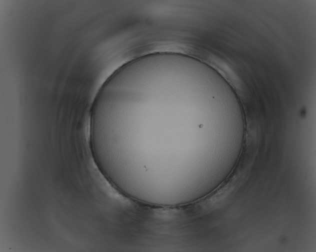 X0000093520804200710191331