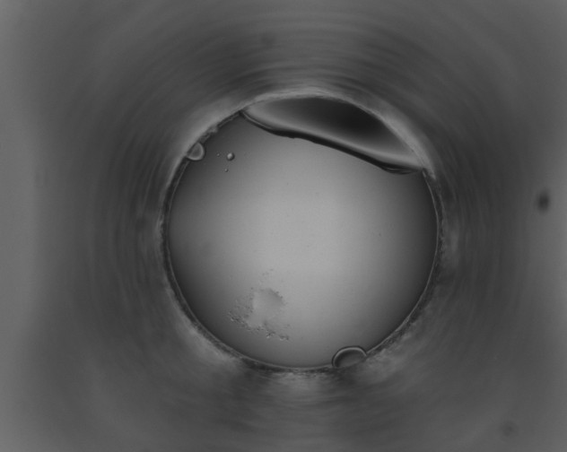 X0000093520805200710191331