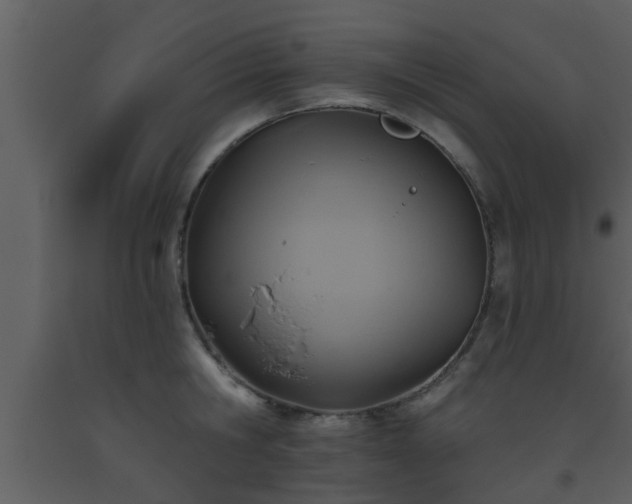 X0000093520806200710191331