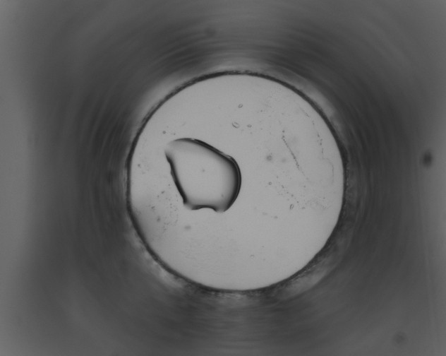 X0000093520807200710191331