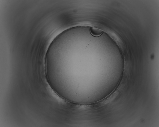 X0000093520808200710191331