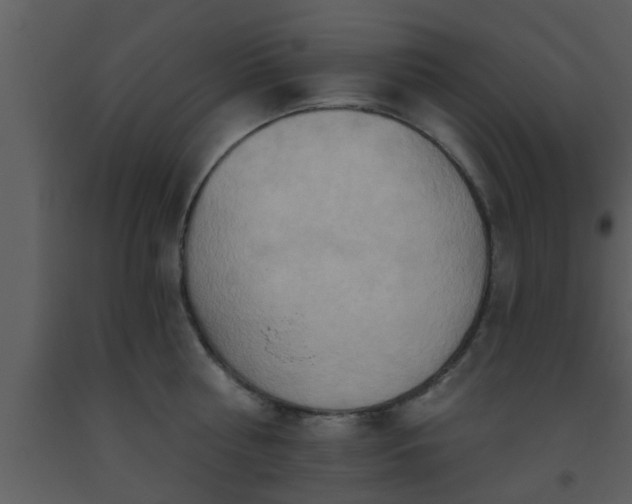 X0000093520810200710191331