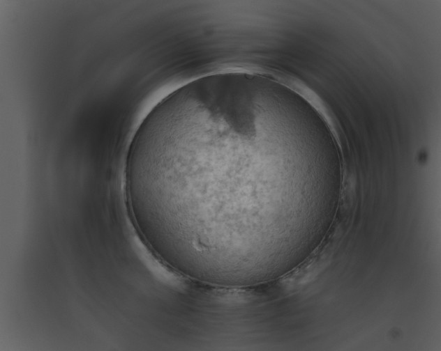 X0000093520811200710191331