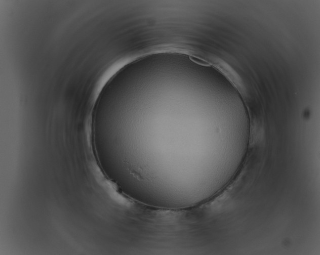 X0000093520812200710191331