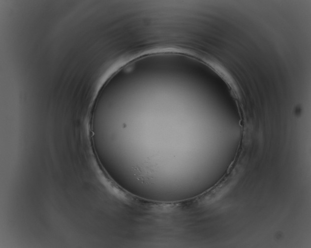 X0000093520813200710191331