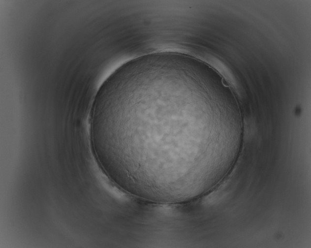 X0000093520814200710191331