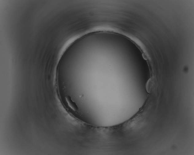 X0000093520815200710191331