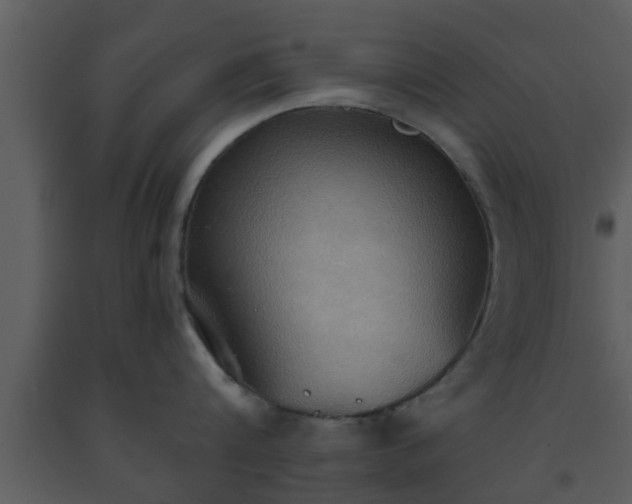 X0000093520816200710191331