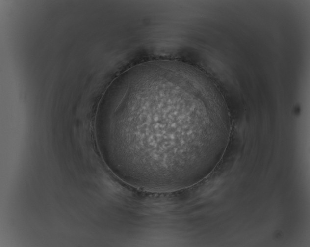 X0000093520817200710191330