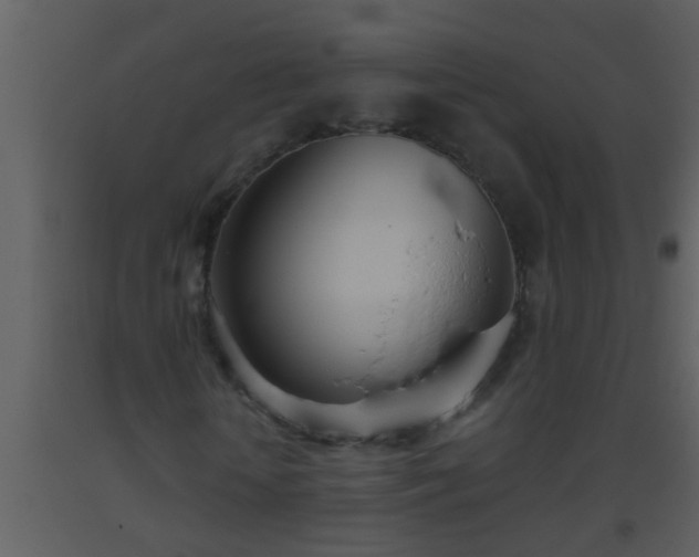 X0000093520818200710191330