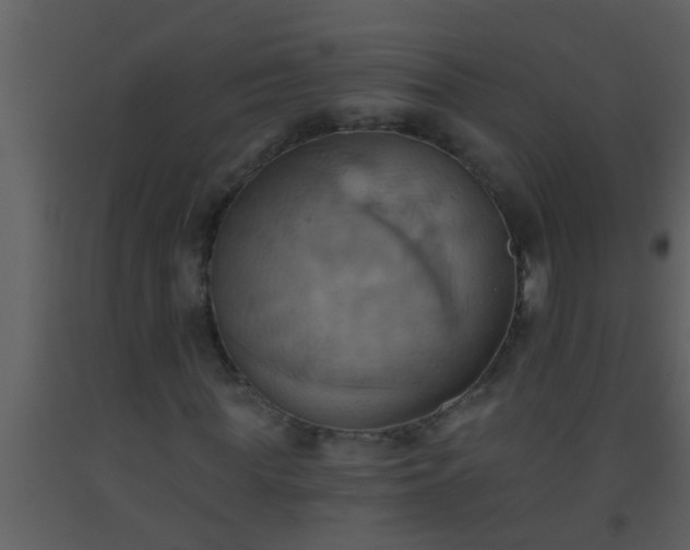 X0000093520819200710191330