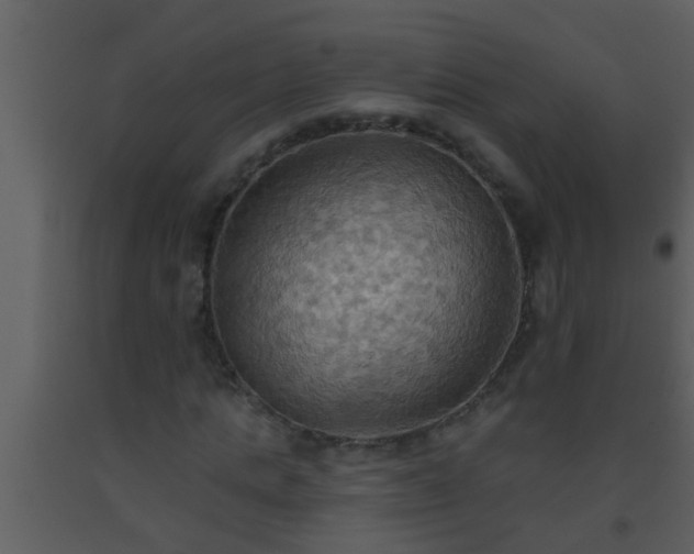 X0000093520821200710191330