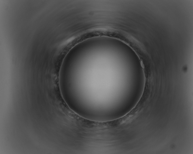 X0000093520822200710191330