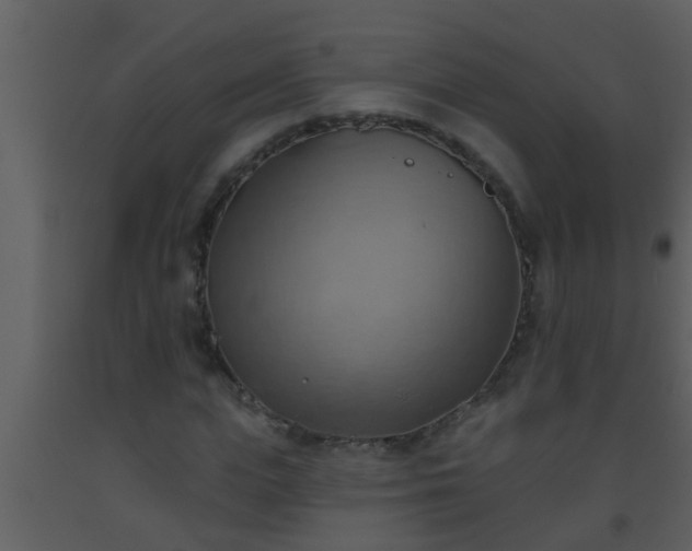 X0000093520823200710191330