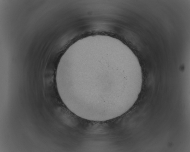 X0000093520824200710191330