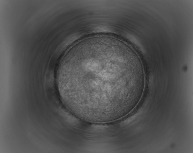 X0000093520825200710191330