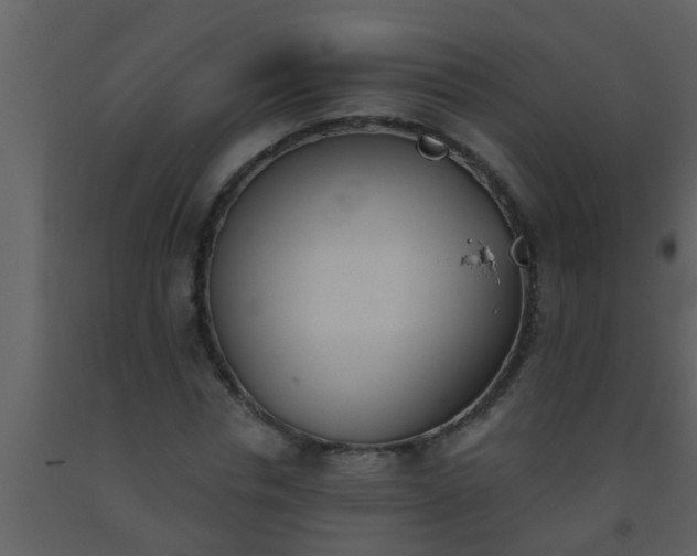 X0000093520826200710191330