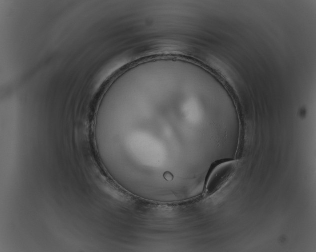 X0000093520827200710191330