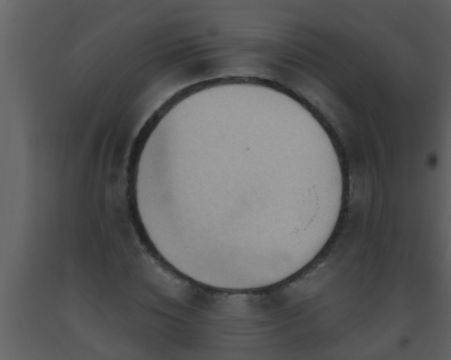 X0000093520828200710191330