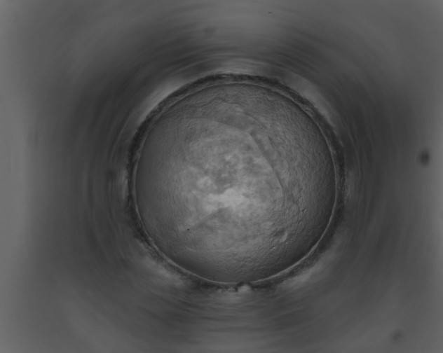 X0000093520829200710191330