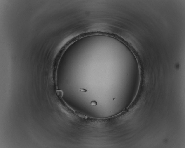 X0000093520830200710191330