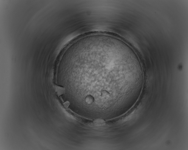 X0000093520831200710191330