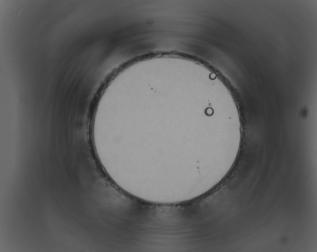 X0000093520832200710191330