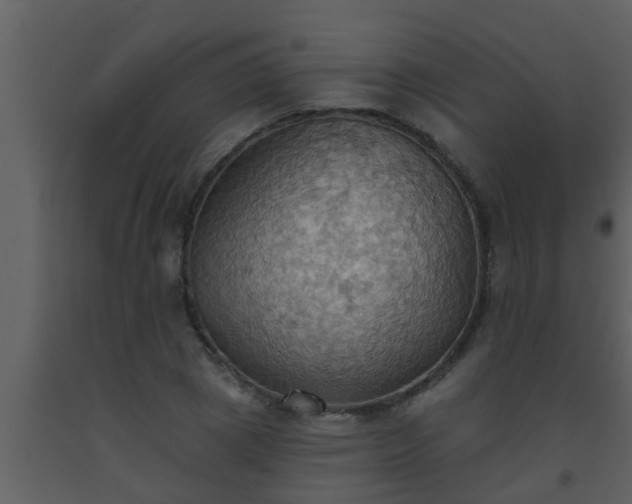 X0000093520833200710191330