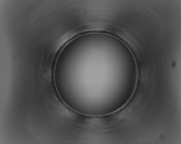 X0000093520834200710191330