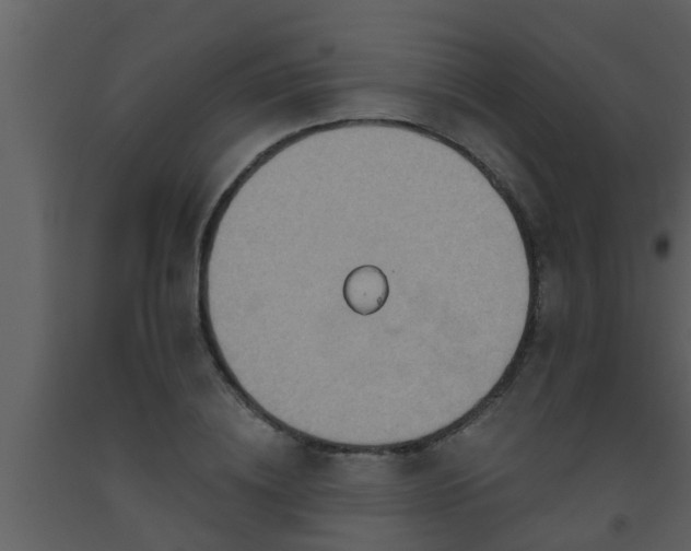 X0000093520836200710191330