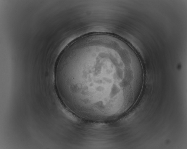 X0000093520837200710191330