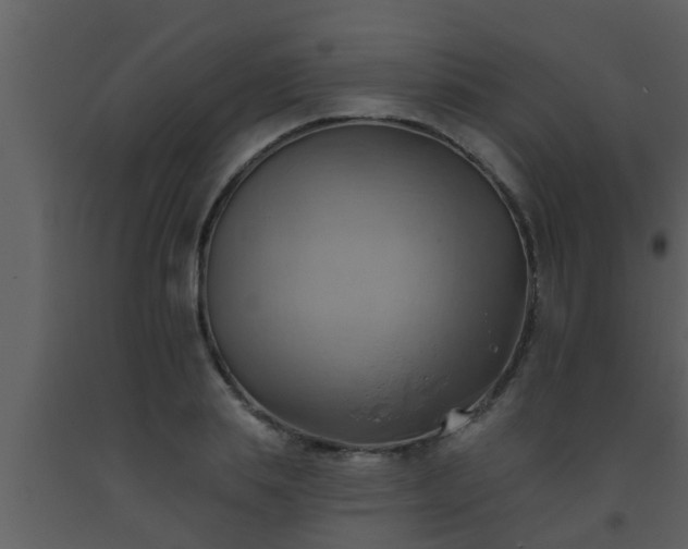 X0000093520839200710191330