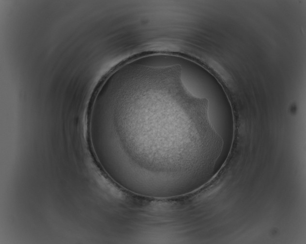 X0000093520840200710191330