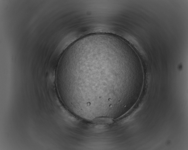 X0000093520841200710191330