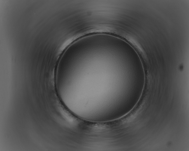 X0000093520842200710191330