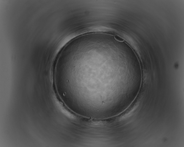 X0000093520843200710191330