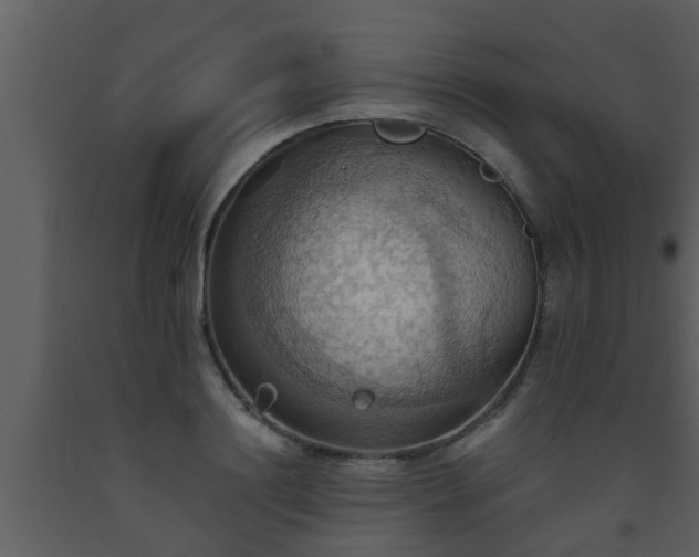 X0000093520844200710191330