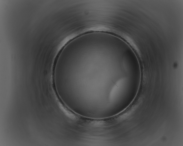 X0000093520845200710191330