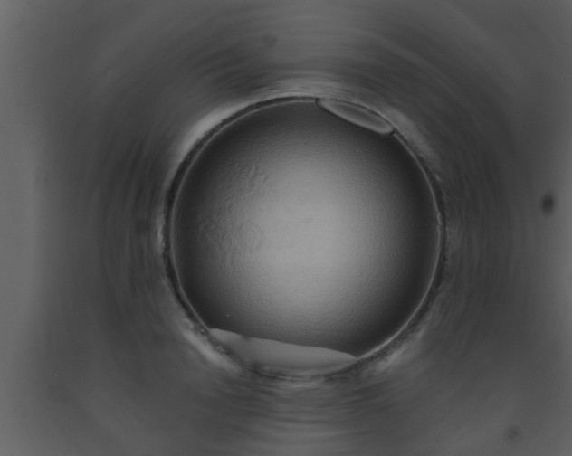 X0000093520846200710191330